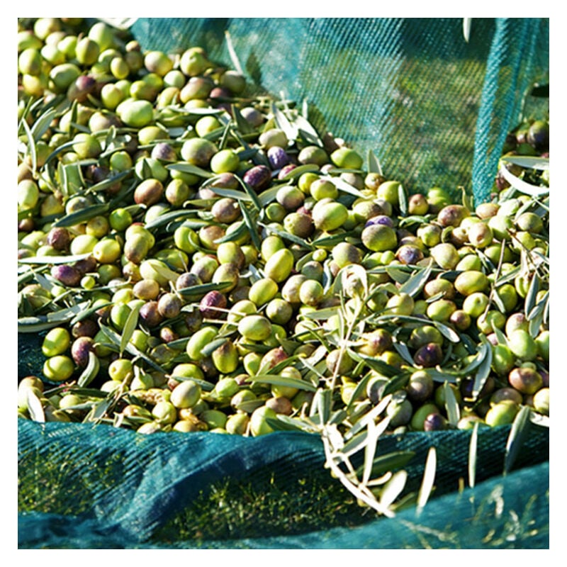 Olive Net Fruit Harvest Tool 4 x 4m - 16m2 V1237-ZY-203-2336