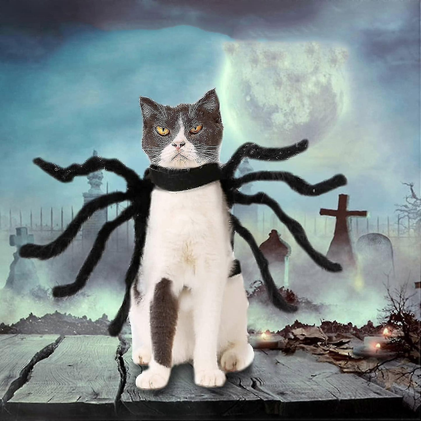 Halloween Adjustable Dog Cat Spider Costume Realistic Plush Spider V1237-ZY-203-3490