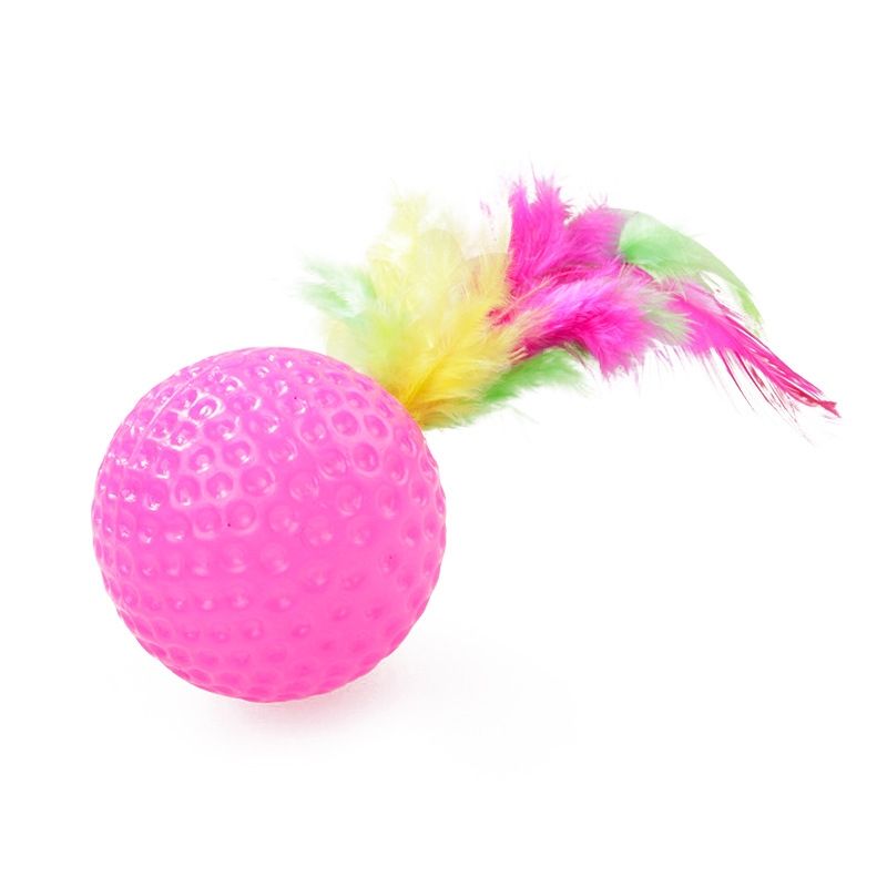 21 Piece Cat Toys, MultiColor - Perfect for Kittens and Cats V1237-ZY-506-0067
