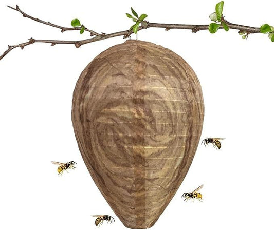 2pcs Non-Toxic Paper Wasp Traps & Bee Deterrent, for Wasp Nest Removal V1237-ZY-506-0303