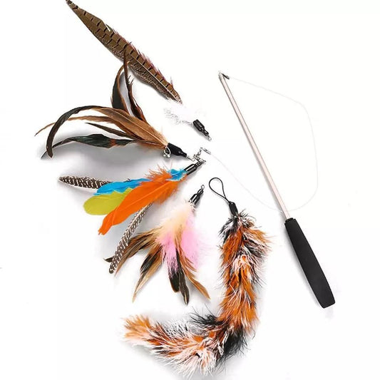 5pcs MultiColor Cat Toys with Springs, Telescopic V1237-ZY-506-0571
