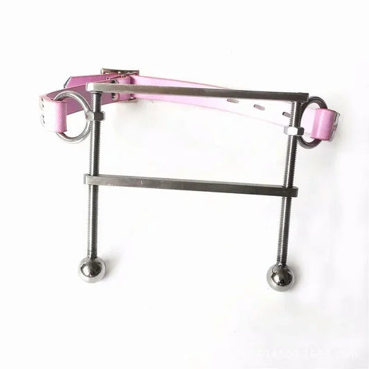 House Of Dasein Metal Open Mouth Gag Tongue Flail Bdsm Bondage Restraints - Pink V1257-15539537576002