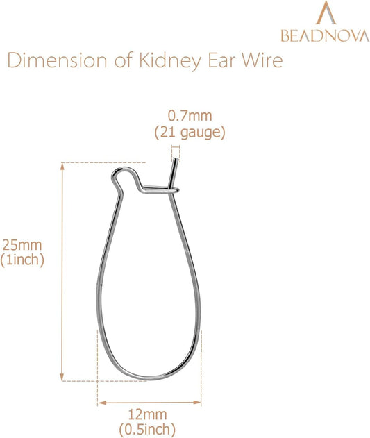 Ear Wire Hooks 60pcs Stainless Steel Kidney Earring Hook Wire Ear Findings for Earring Making Jewelry Making V1258-DP02-A-134