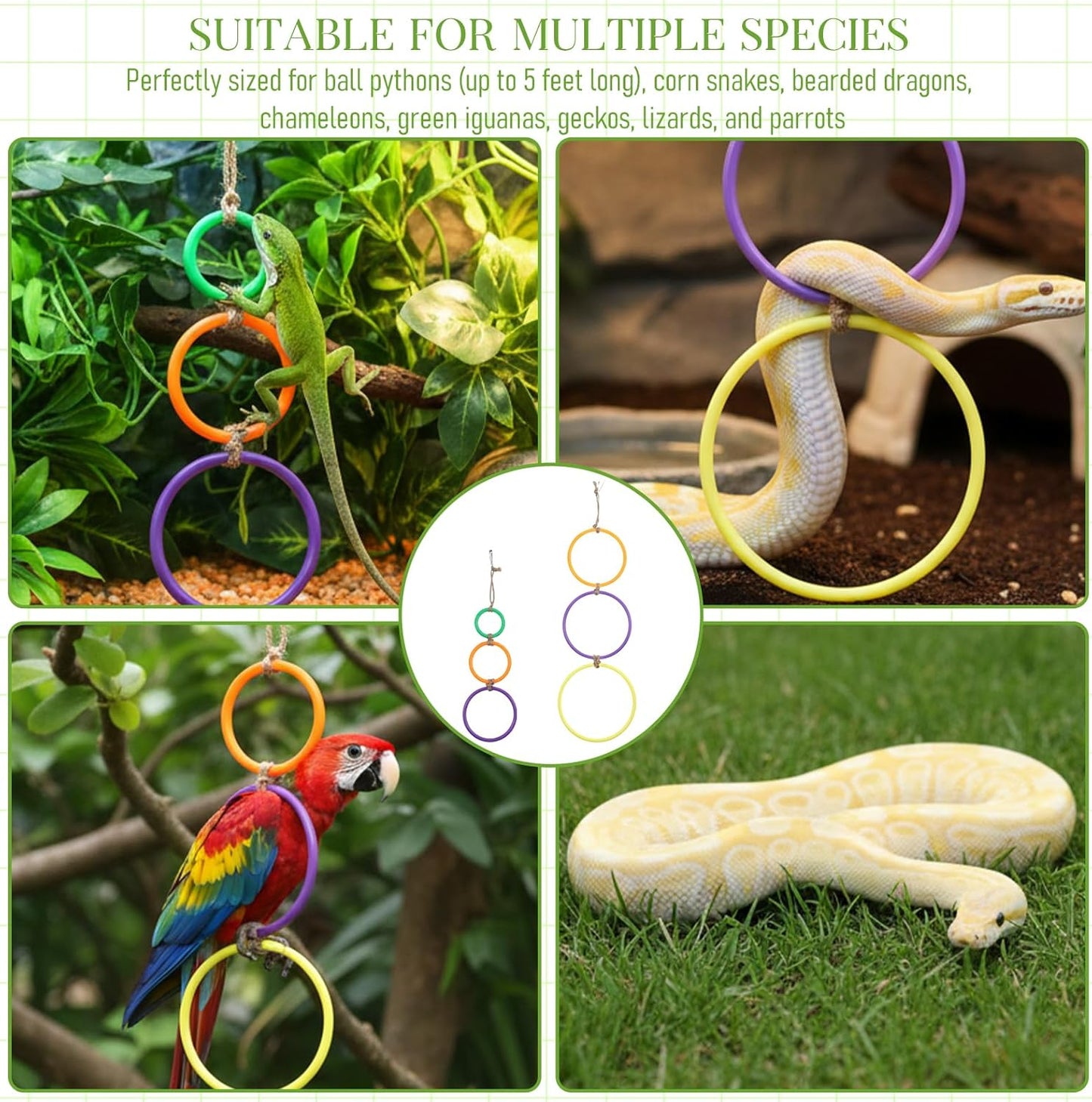 2 Pcs Snake Climbing Rings Snake Enrichment Toys for Ball Python Ball Python Tank Accessories, Reptile V1258-DP02-A-604