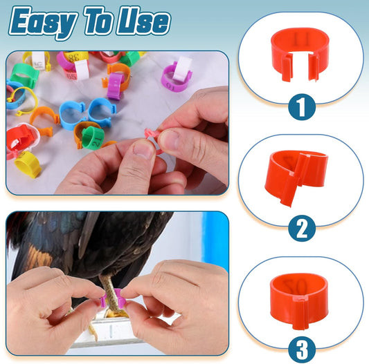 80 Pcs Chicken Leg Bands, 16mm Chicken Leg Bands with 8 Colors, Colorful 01-80 Numbered Chicken V1258-DP02-B-1062