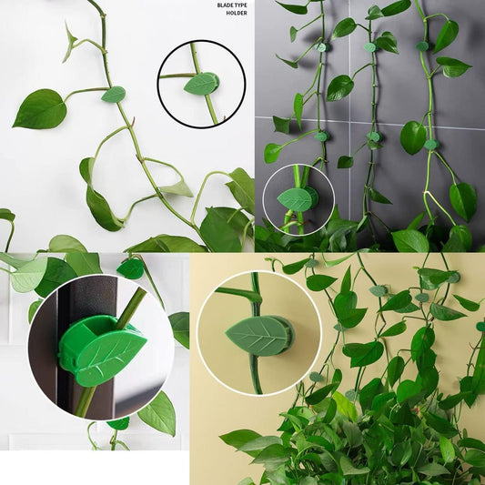30 Pack Self-Adhesive Plant Clips Invisible Wall Hooks for Climbing Plants Trellis Support Vines Ivy Indoor V1258-DP02-BOL-308