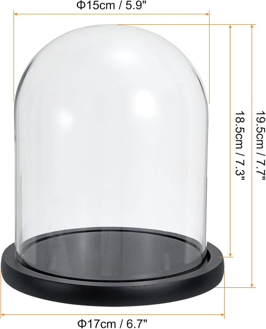Glass Dome with Black Wooden Base - Clock Shaped Display Case - Home Decor - Desk Ornament - Christmas V1258-DP02-BOL-433