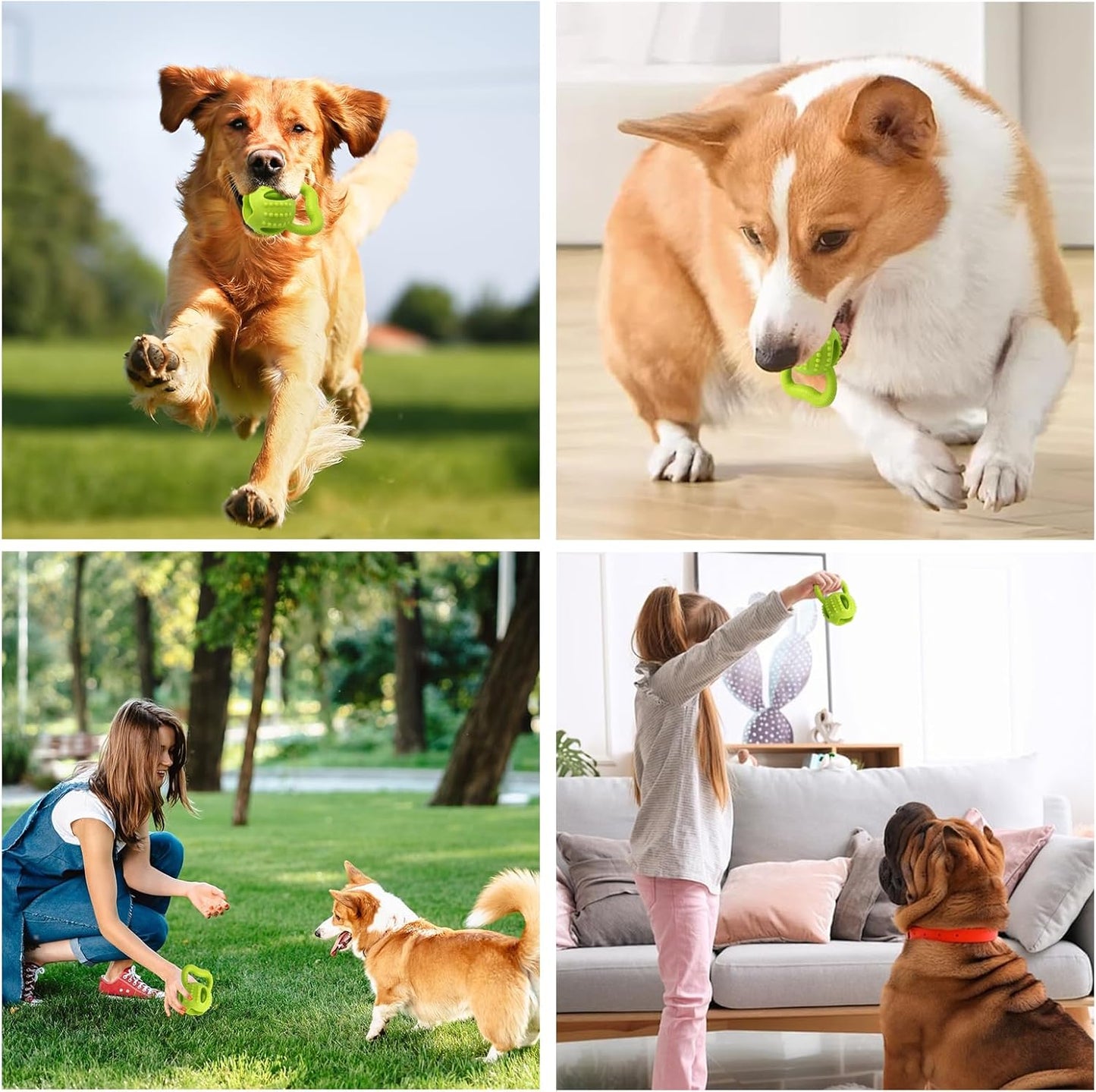 Interactive Chew Toy for Small Dogs Square Shaped Teeth Cleaning and Biting Plaything V1258-DP02-BOL-57