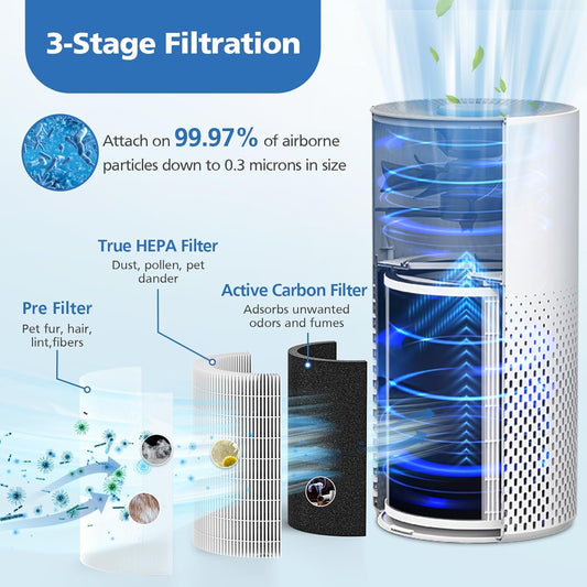 True HEPA KILO Filter For Afloia KILO, KILOPLUS, KILOPRO, MIRO, MIRO PRO and for MORENTO MR-Kilo, Kalo Air V1258-DP02-C-1092