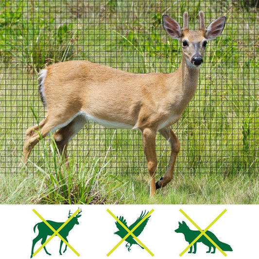 Deer Fence Netting, 7 x 100 Feet Anti Bird Deer Protection Net Reusable Protective Garden Netting for Plants V1258-DP02-C-256