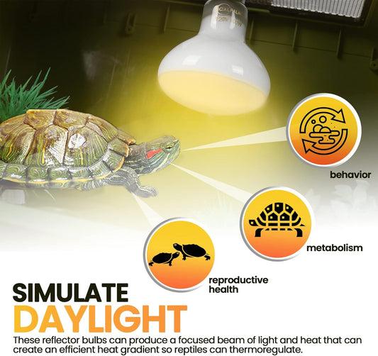 (4-Pack 100W Reptile Heat Lamp Bulbs - UVA Daylight Basking Light Bulbs for Reptiles, Turtles, Lizard, V1258-DP02-C-900