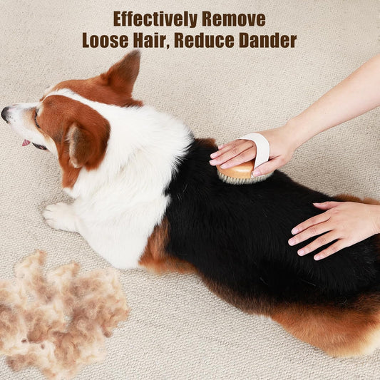 Soft Boar Bristle Pet Palm Brush for Short Haired Dogs and Cats with Band, Reduce Shedding, Ergonomic Dog V1258-DP02-E-82