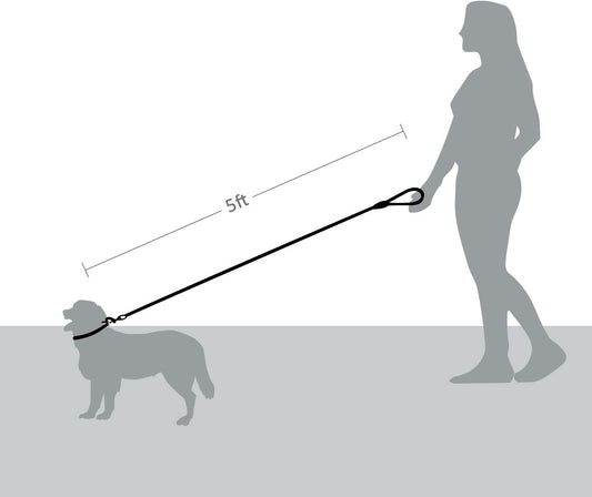 5 FT Strong Dog Leash with Comfortable Foam Handle and Highly Reflective Threads with Metal Clasp and Rubber V1258-DP02-F-545