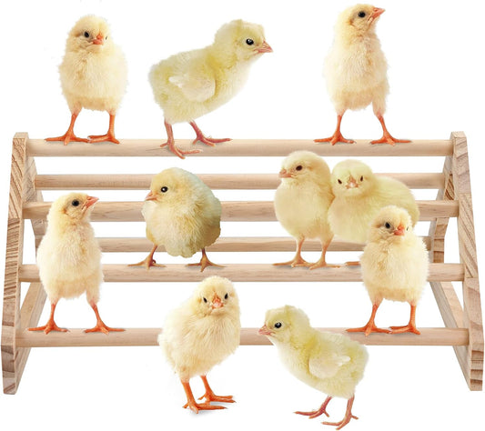 Wooden Chick Perch Stand, Pine Roosting Bar, Jungle Gym Perch Toys for Chicken Coop & Brooder, Bird Perch for V1258-DP02-WO-422