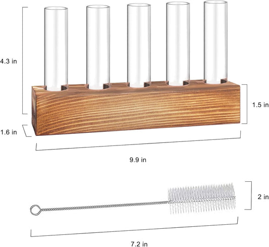 Plant Propagation Station, Plant Terrarium with Wooden Stand, Plants Pots for Hydroponics, Small Birthday V1258-DP02-WO-702