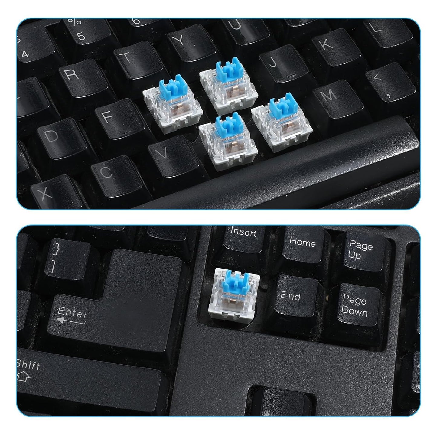 Keyboard Switches, 50 Pcs 3 PIN Blue Keyboard Clicker Replacement Dustproof Mechanical Keyboards Switches for V1258-DP02-WO-979