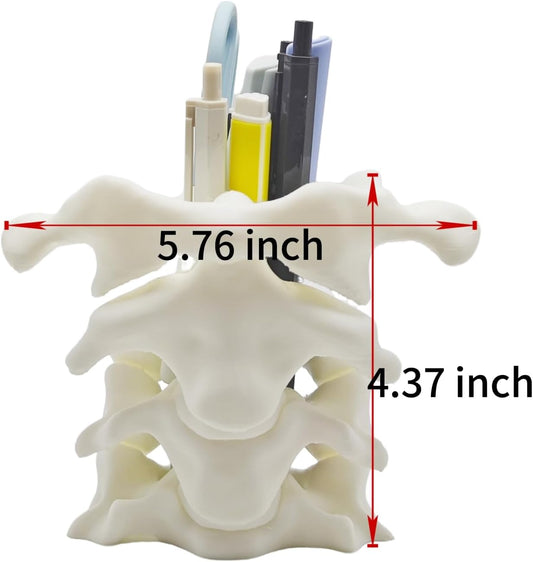 Unique Spine Pen Holder for Desk, Pencil Holder Desk Organizers, Office Supplies Decorations Idea Gift for V1259-DP01-A-2171