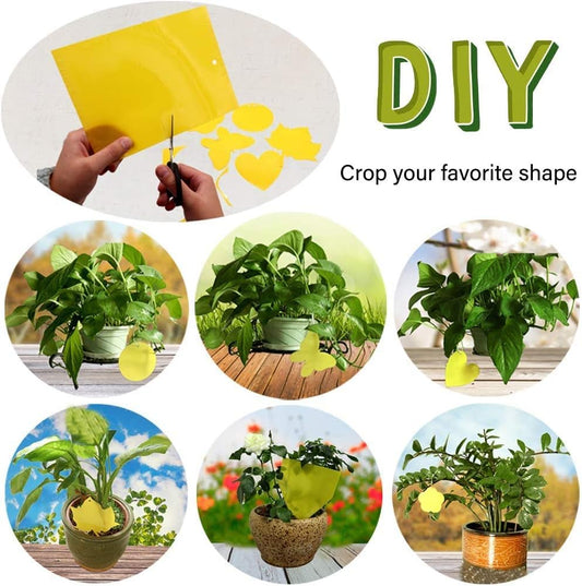 Dual-Sided Yellow Sticky Traps for Capturing Flying Plant Insects Like Fungus Gnats, Flying Aphid, V1259-DP01-A-2518