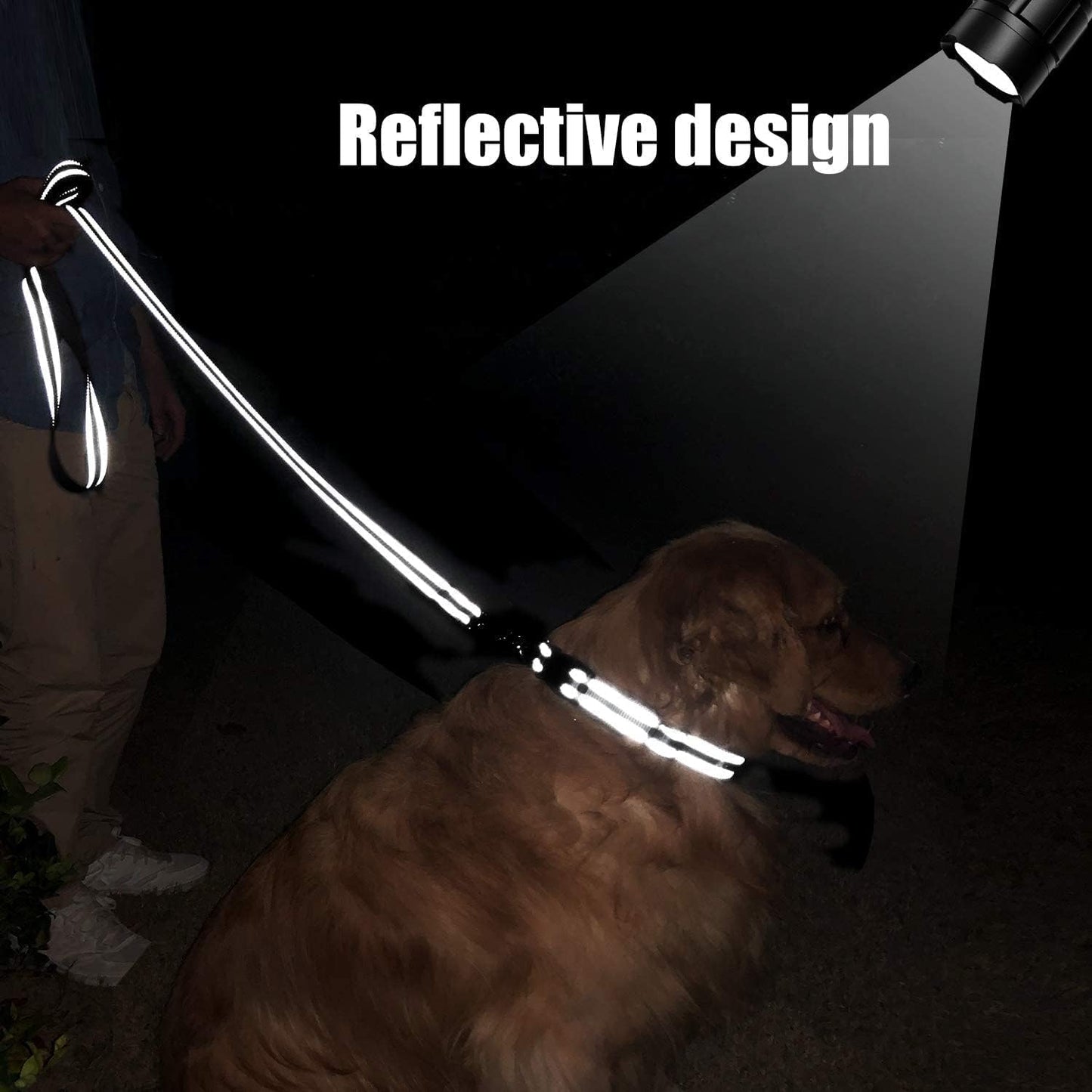 6FT Reflective Dog Leash with Soft Padded Handle for Training,Walking Lead for Large & Medium Dog,1 Inch V1259-DP01-A-3119