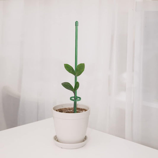 12 Inch Plant Support Stakes, with Adjustable Retaining Ring Green Plant Sticks Support Stakes for Indoor and V1259-DP01-A-3279