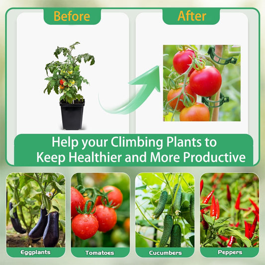 Tomato Clips for Climbing Plants, 300 Pcs Reusable Plastic Tomato Plant Clips for Climbing Plants,Tomato V1259-DP01-A-3395