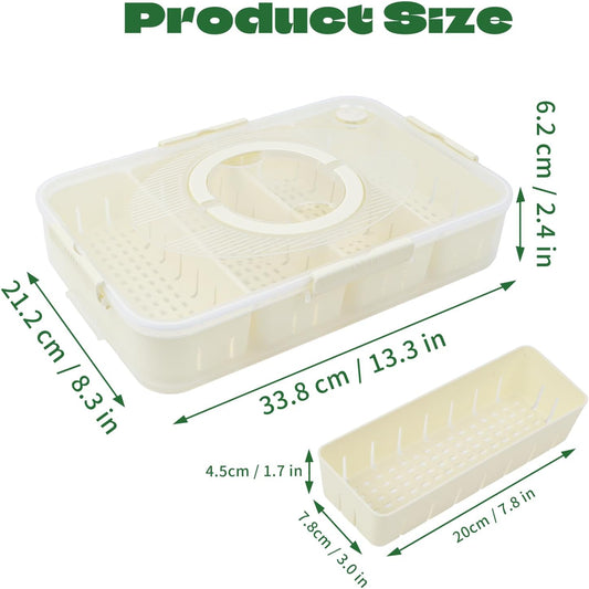 Snack Box Container,Dishwasher Safe Fruit Snack Containers,2 Pack Divided Serving Tray with Lid for Veggie V1259-DP01-A-3904