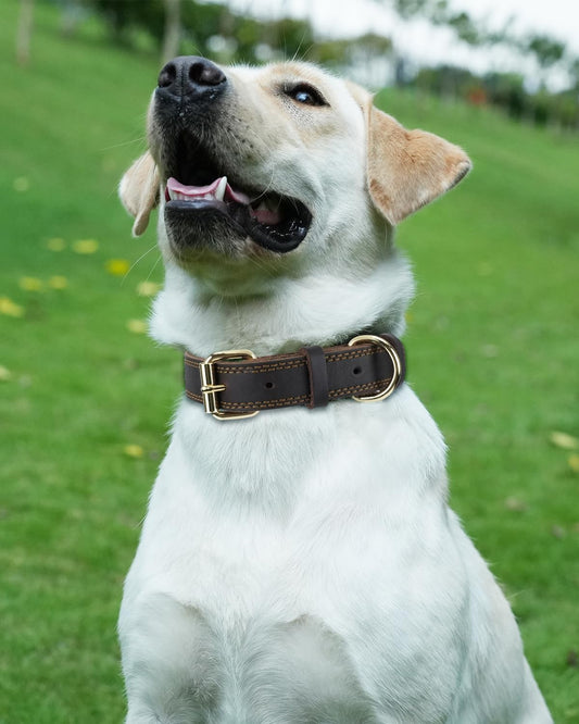 Genuine Leather Dog Collar for Large Dogs, Heavy Duty Thick Solid Power Breeds, Sturdy Adjustable Pet with V1259-DP01-A-4630