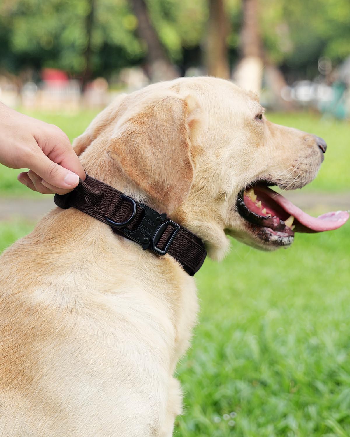 Tactical Dog Collar(17"-21") and Leash Set, Shock Absorbing Bungee Adjustable Strong Collar with Handle for V1259-DP01-A-4641