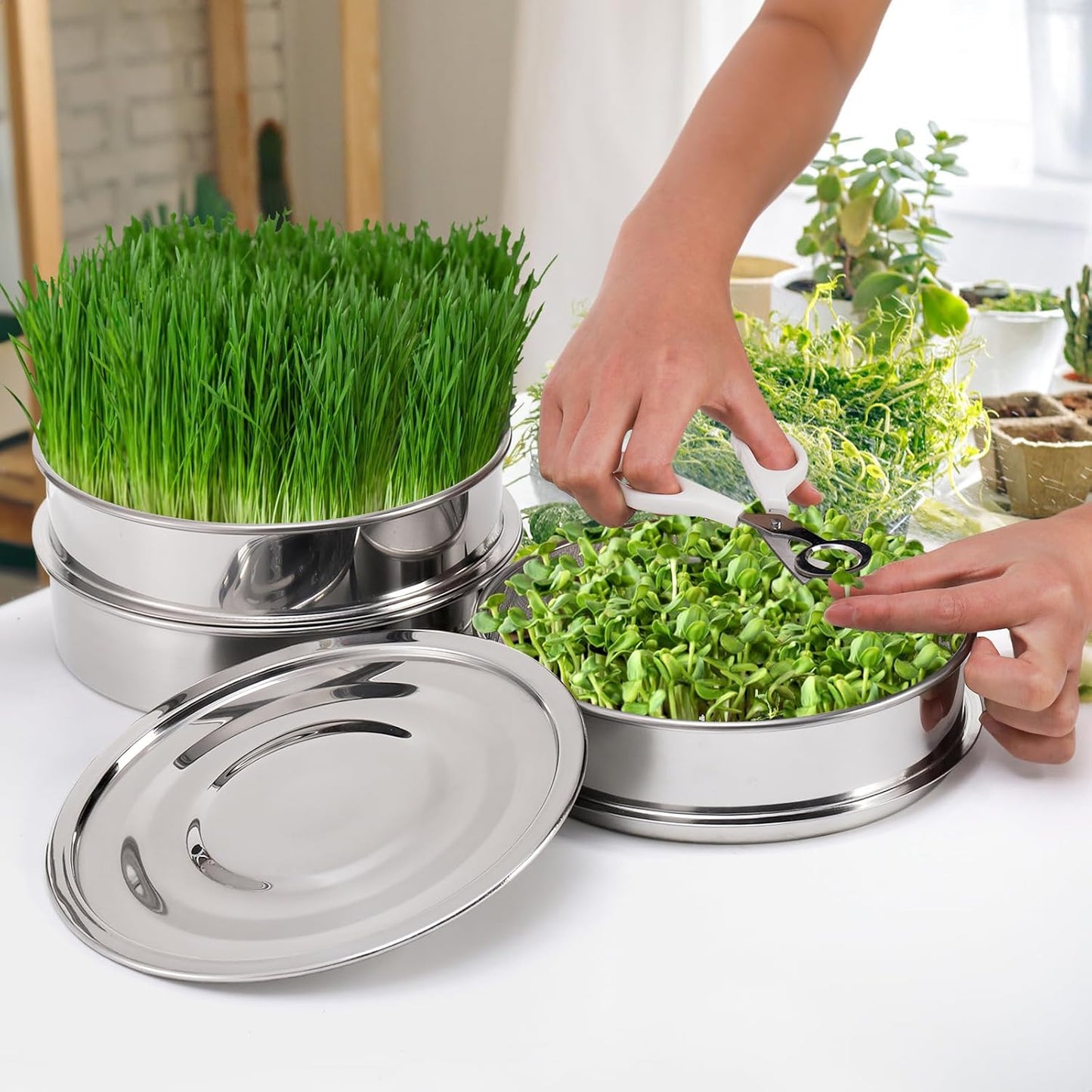 9" Stackable Stainless Steel Seed Sprouting Kit, 3-Tier Mesh Germination Tray, Sprout Grower with Lid Base, V1259-DP01-A-872