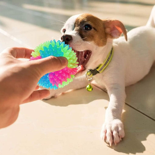 Pet toy ball - 5 cm - Light-up dog ball - Flashing bouncy ball - Interactive light-up - LED pet toy - V1259-DP01-BO-78