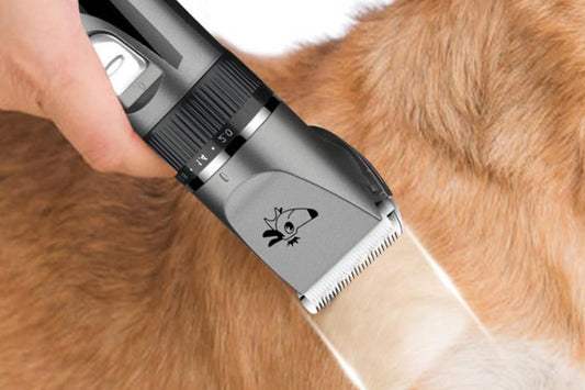 Pet Grooming Clippers Cat Grooming Kit Cordless Low Noise Pet Hair Clipper Trimmer Shaver for Dogs Cats V1263-JX-6252