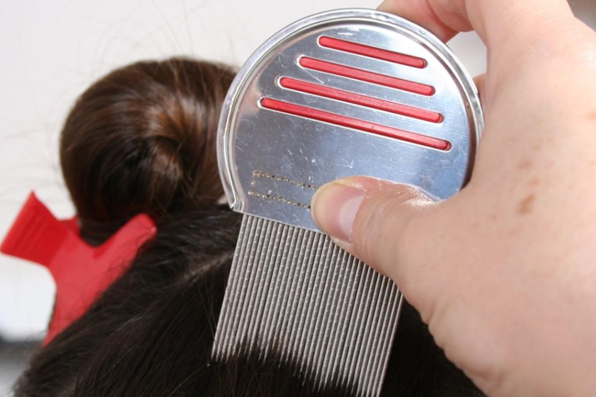 Stainless Steel Pet Flea Comb Fine Tooth Grooming Tool for Dogs Cats - Red V1263-JX-6253-1