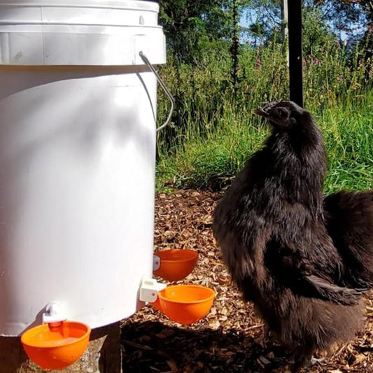 5Pcs Automatic Chicken Waterer Cups Water Feeder for Chicks Duck Goose Orange V1263-JX-6830