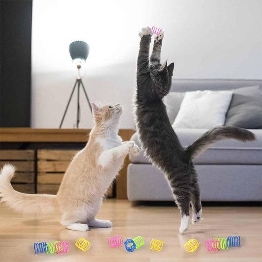 40Pcs Cat Spring Toys Colorful Cat Spiral Bouncy Toys Interactive Toys for Cats and Kittens V1263-JX-6903