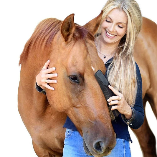 6-in-1 Horses Dogs Grooming Brush Pet Comb V1263-JX-6942
