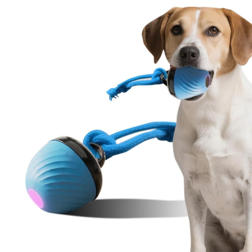 Squeaky Rolling Ball Dog Toy - Interactive Motion-Activated Chew Toy for Dogs Red V1263-JX-6945