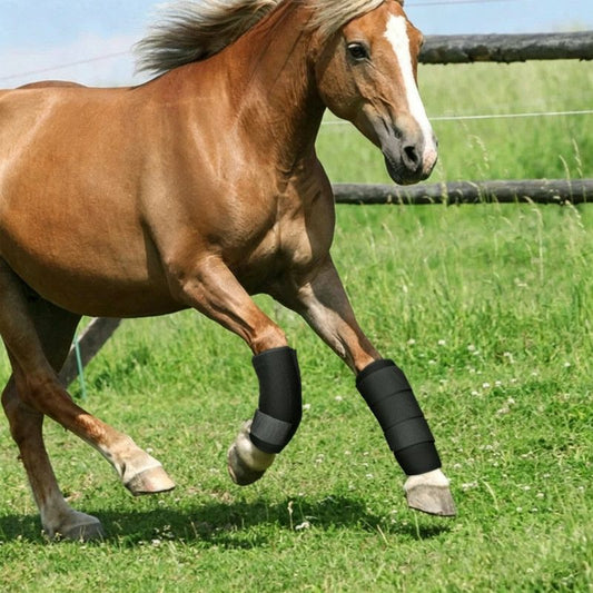Rubber Horse Leg Wraps - Impact-Resistant & Breathable Leg Guards V1265-CW-02