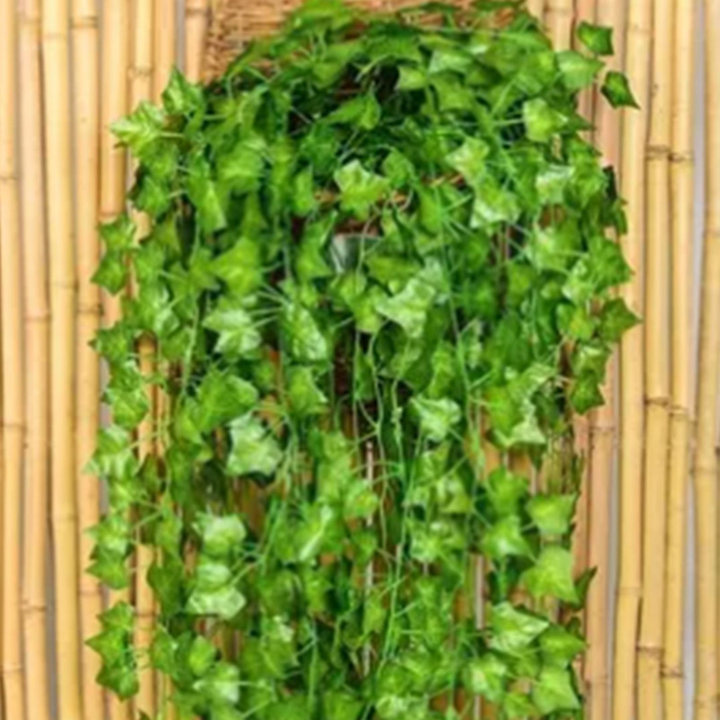 Simulated Ivy Cane Creeper Ivy Decorative Green Plants Ceiling Artificial Vine Eucalyptus Leaves 12PCS V1294-YM0512-3111220295411