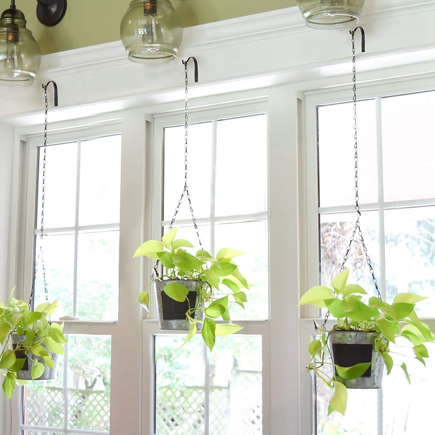 8Pcs Black Plants Hanging Wall Hook S Shape Wall Mount Plants Pot Hanging Bracket for Flower Basket V1294-YM0521-3117230060411