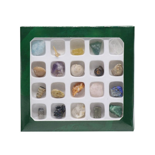20 kinds of Mini Size Natural Crystal Agate Stone Rocks Minerals Fossils Kids Teaching Materials for Geology V1294-YM0523-10320480