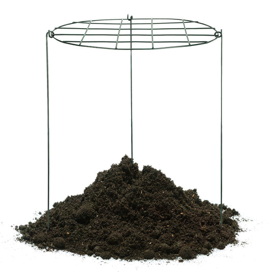 Garden Grid Shaped Iron Metal Plant Stand Strawberry Stand Plant Support Stake V1294-YM0523-211007QY01