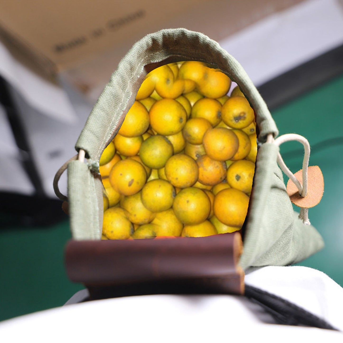 Leather Canvas Foraging Pouch Belt Fruit Picking Bag for Camping Fruit CollectingArmy Green V1294-YM0523-3111210325513