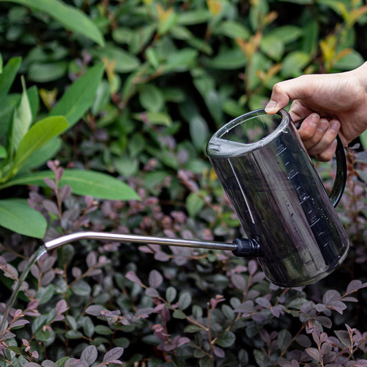 1L Watering Can PP Fully Transparent Indoor Plants Watering Can with Long Spout for Garden Starry Gray V1294-YM0523-3111220119112