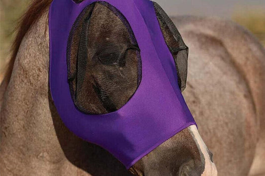 Horse Fly Mask with Ears -Purple V1308-DSZKI-126-4