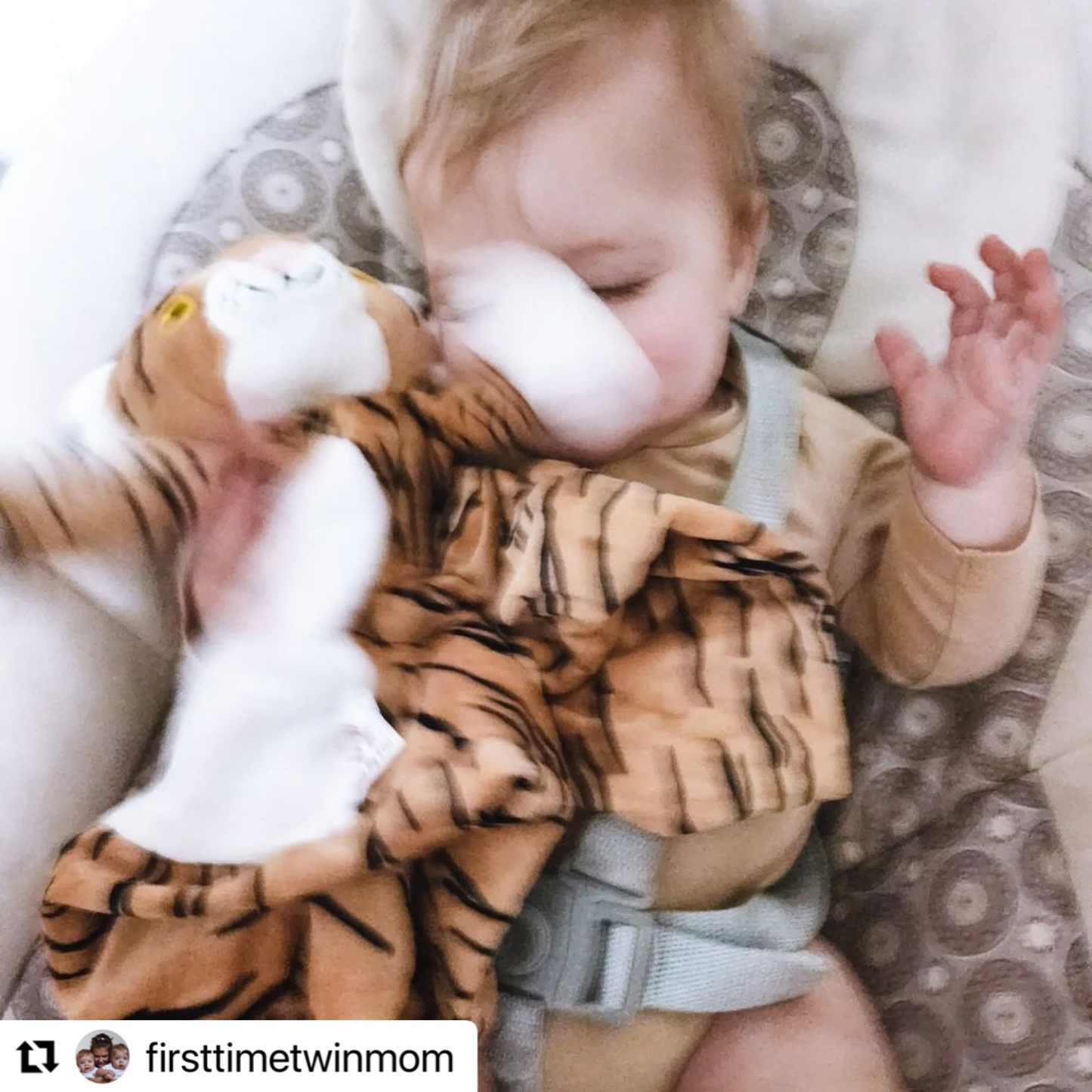 Indi the Tiger