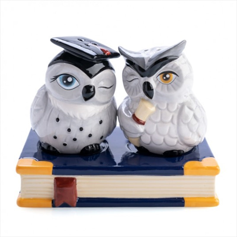 Owl Salt and Pepper Set V210-2670031