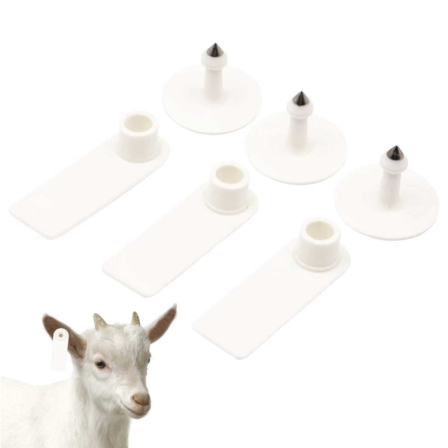 100x Cattle Ear Tags 5x2cm Set - Mini White Blank Pig Goat Livestock Label V238-SUPDZ-40208930537552