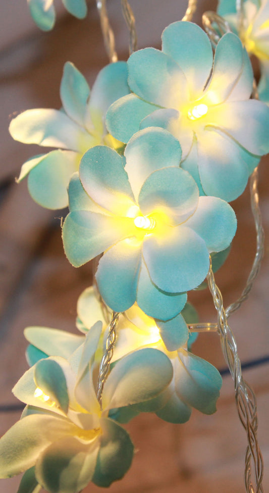 1 Set of 50 LED Tropical Blue Frangipani Flower Battery 5m LONG String Lights Christmas Gift Home Wedding V382-BLUEFRANGIBATT50