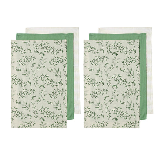 Ladelle Grown Ivy Set of 6 Cotton Kitchen Towels Green V442-LDE-TEAT-GROWNIVYSETOF6-GREEN-RE