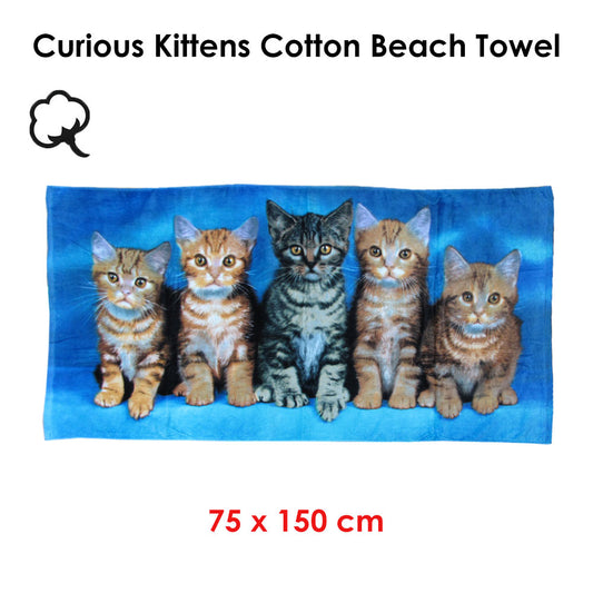 Curious Kittens Cotton Beach Towel V442-WAM-TOWEL-CURIOUSKITTENS-BLUE-RE
